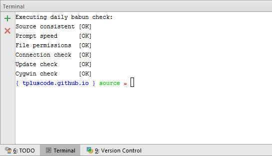 Webstorm terminal